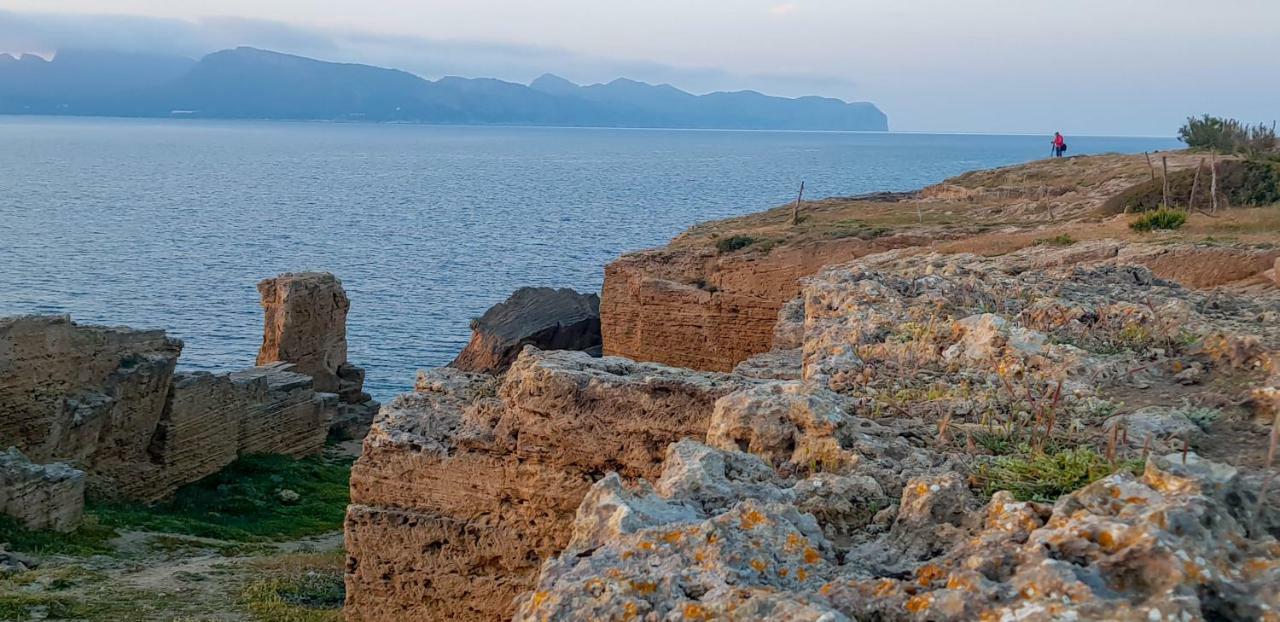 Es Fasser Алькудия Экстерьер фото